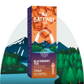 Vitamin-Infused Gateway Blackberry Tea BDE1 - Vitamin-Infused Natural Refreshing Flavor Core - Default Title